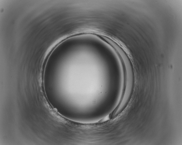 X0000086300904200703301158