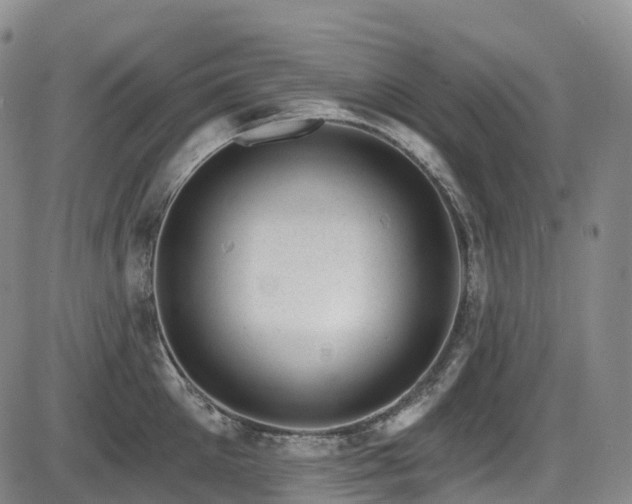 X0000086300905200703301158