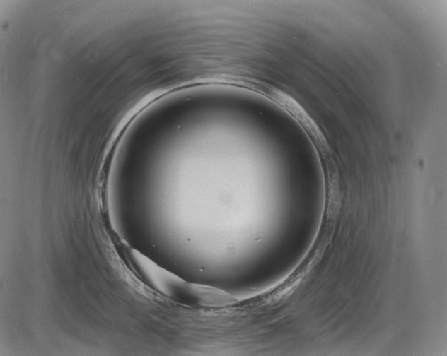 X0000086300908200703301158