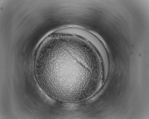 X0000086300910200703301158