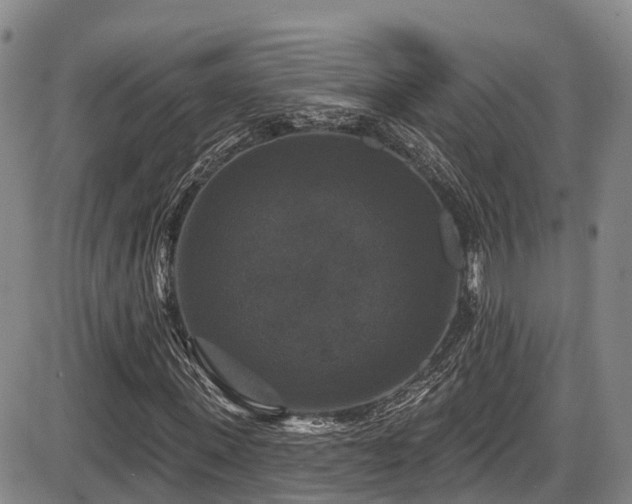 X0000086300915200703301158