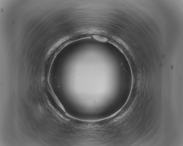 X0000086300922200703301158