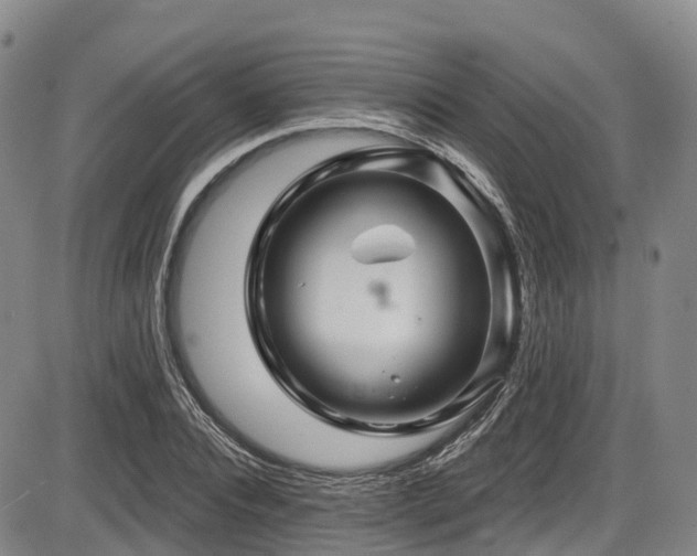 X0000086300928200703301158