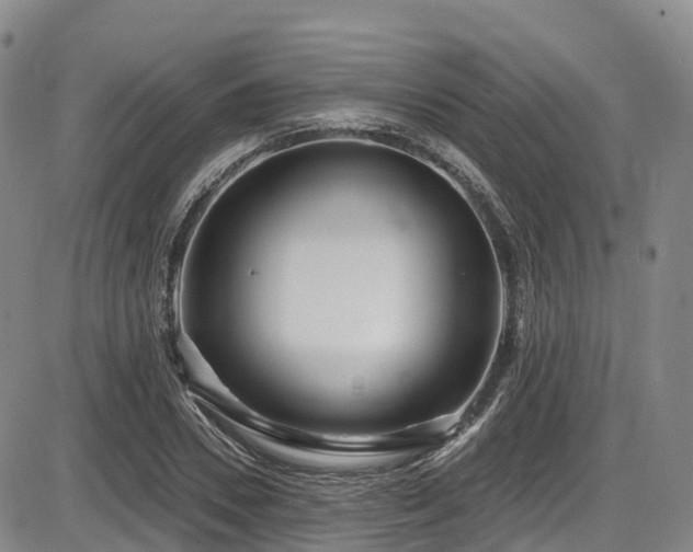 X0000086300930200703301158