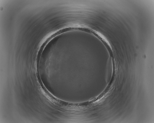 X0000086300935200703301158