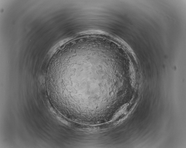 X0000086300937200703301158