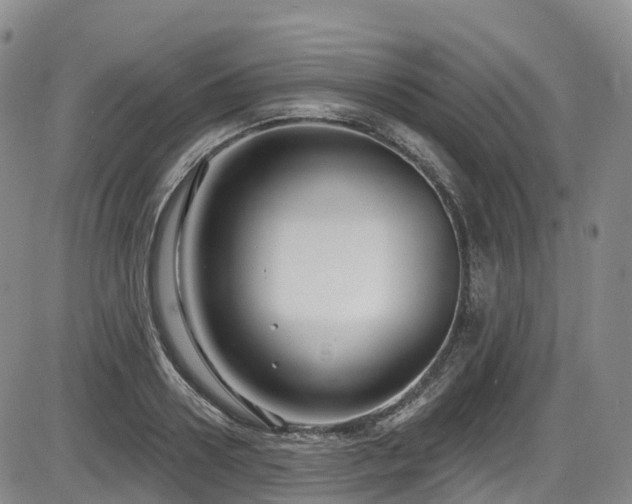 X0000086300938200703301158