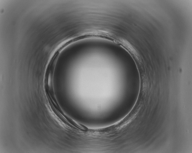X0000086300940200703301158