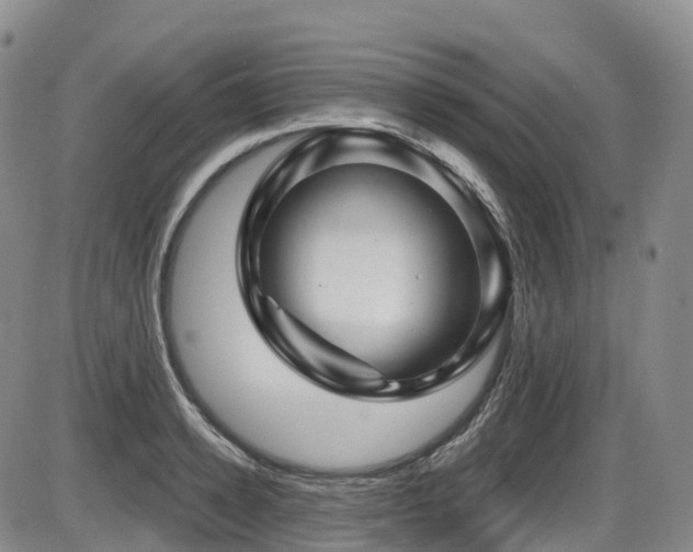 X0000086300942200703301158