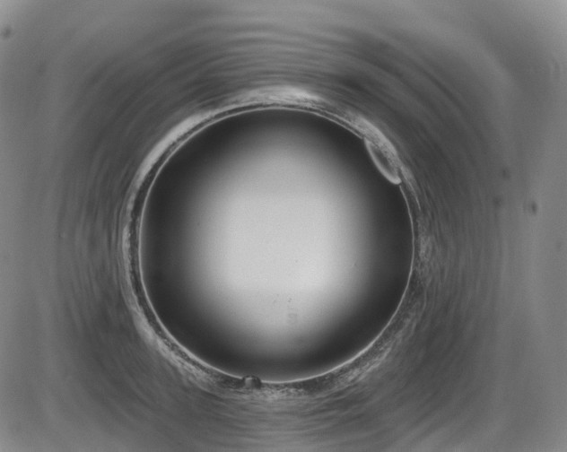 X0000086300947200703301158
