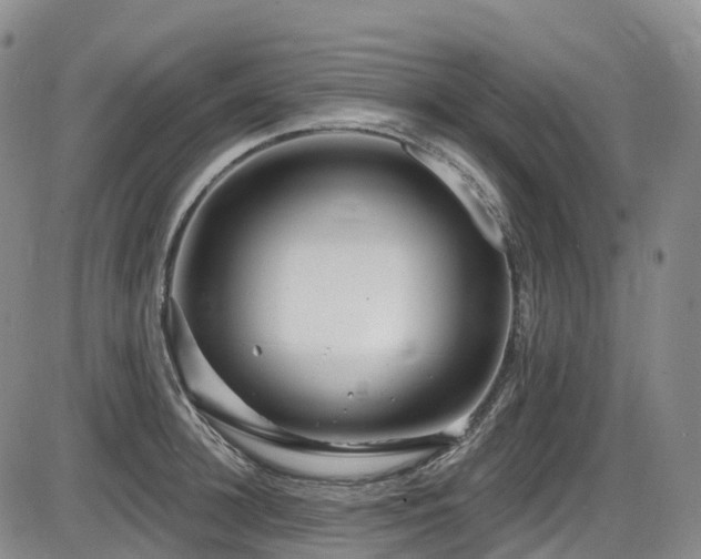 X0000086300948200703301158