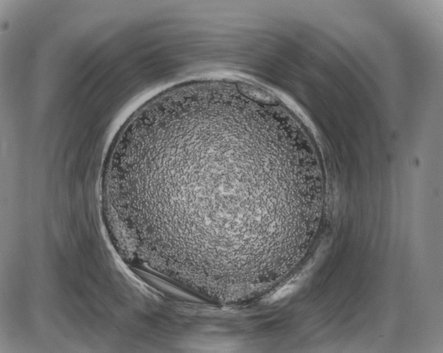 X0000086300951200703301158