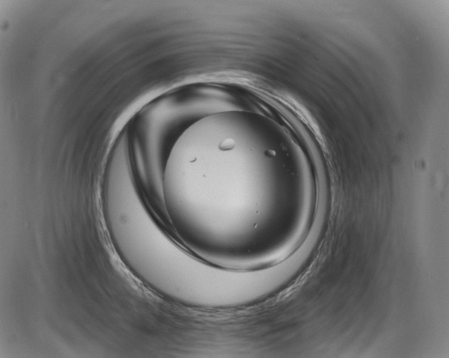 X0000086300952200703301158