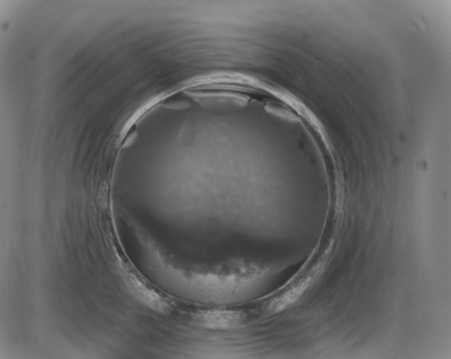 X0000086300953200703301158