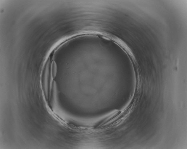 X0000086300958200703301158