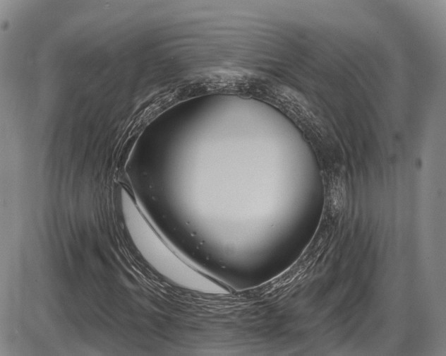 X0000086300964200703301157