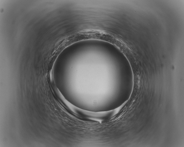 X0000086300965200703301157
