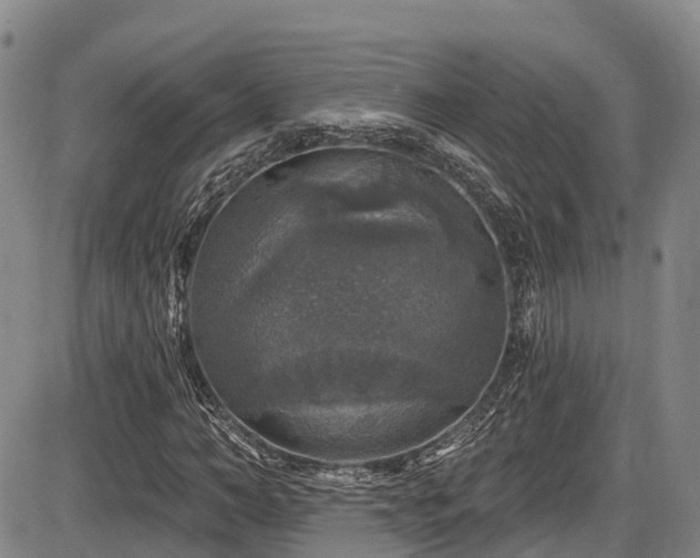 X0000086300966200703301157