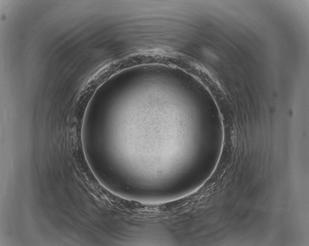 X0000086300968200703301157