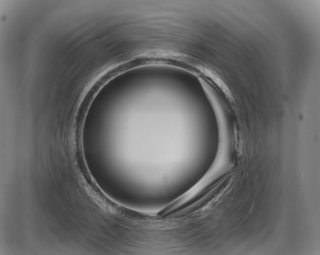 X0000086300976200703301157