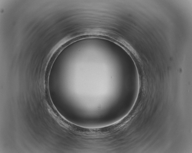 X0000086300980200703301157