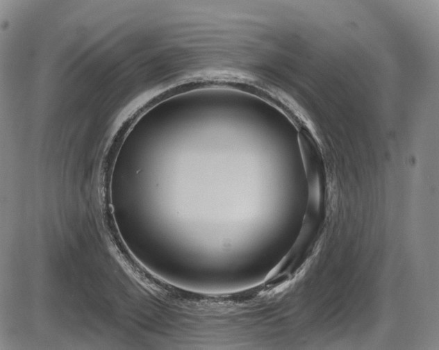 X0000086300981200703301157