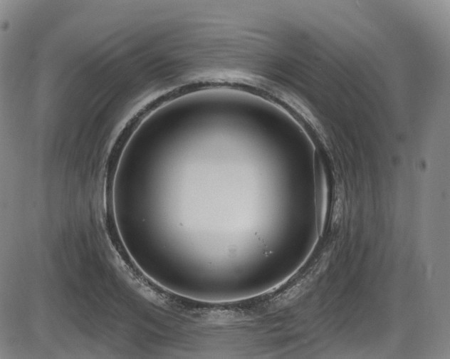 X0000086300984200703301157