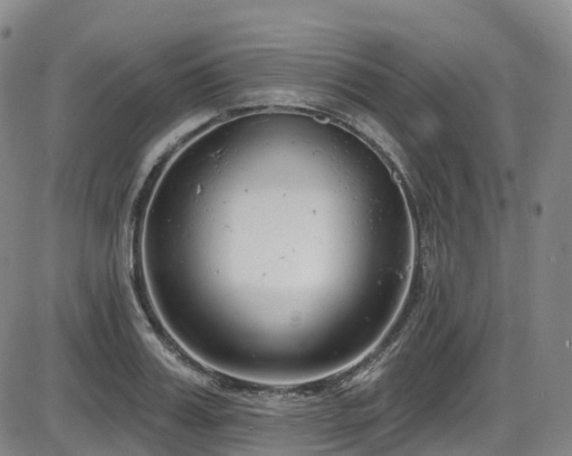 X0000086300987200703301157