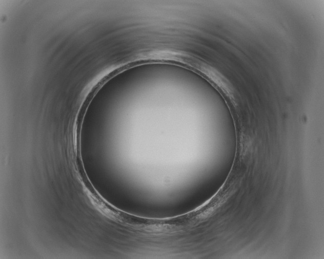 X0000086300988200703301157