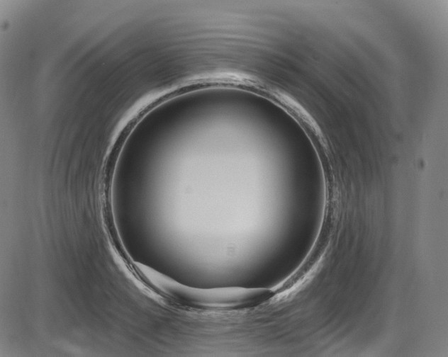 X0000086300989200703301157