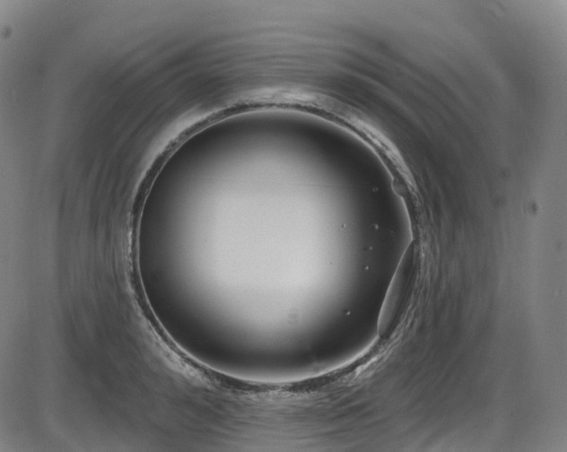 X0000086300992200703301157