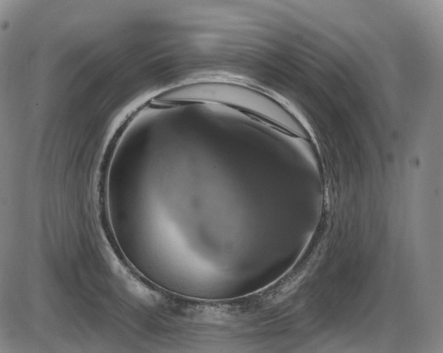 X0000086300995200703301157