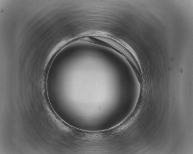 X0000086300997200703301157