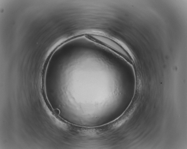 X0000086300999200703301157