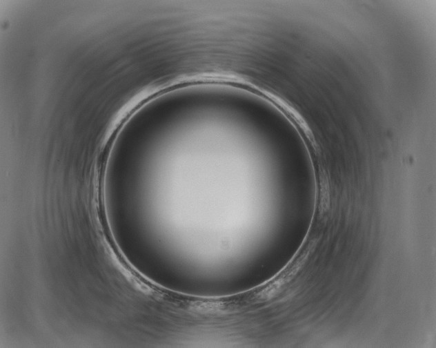 X0000086301006200703301157
