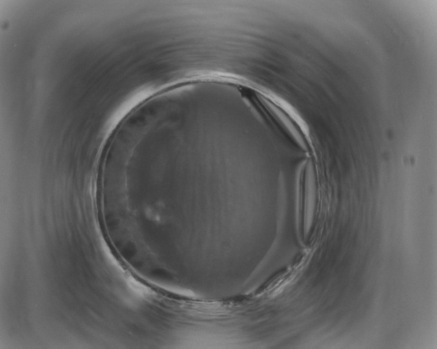 X0000086301007200703301157