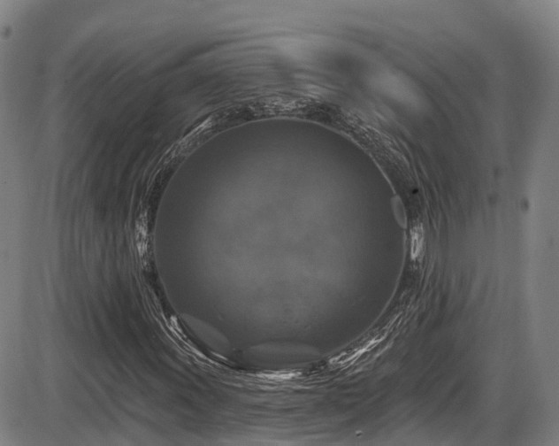 X0000086301011200703301156