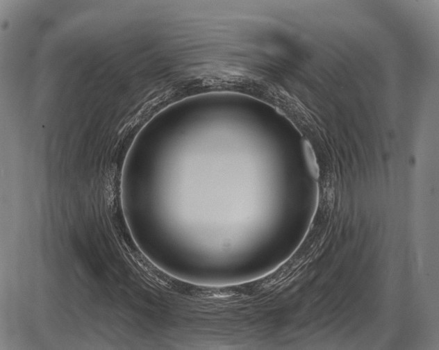 X0000086301012200703301156