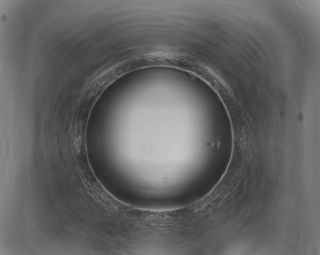 X0000086301015200703301156