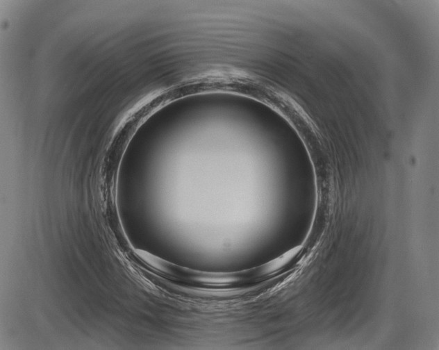 X0000086301018200703301156