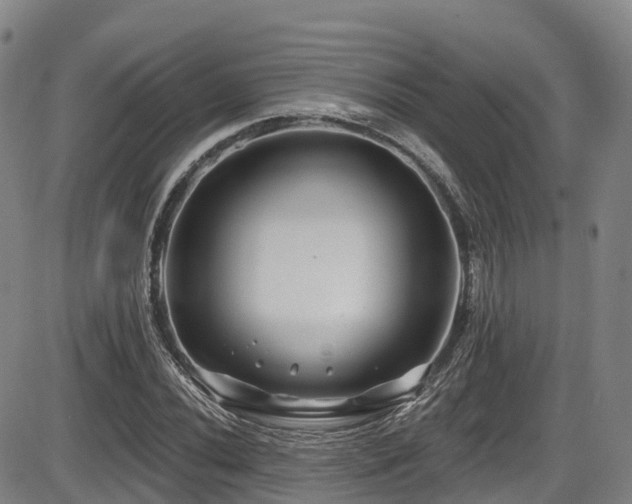 X0000086301020200703301156