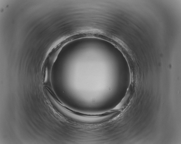 X0000086301022200703301156