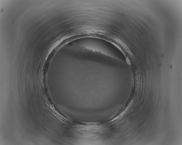 X0000086301023200703301156
