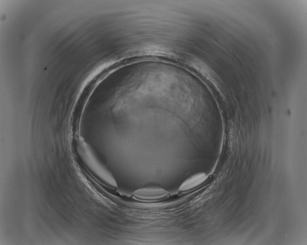 X0000086301024200703301156