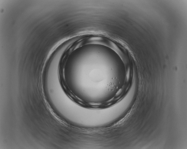 X0000086301030200703301156