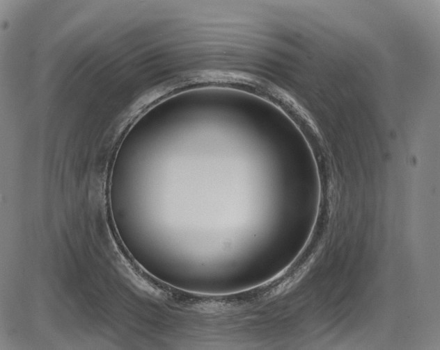 X0000086301033200703301156
