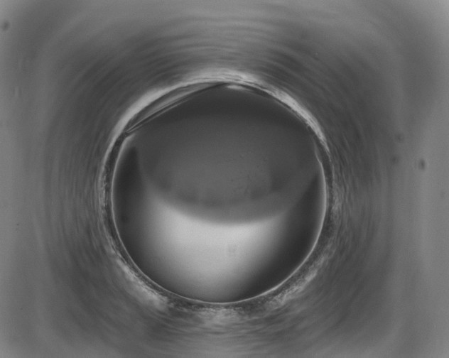 X0000086301037200703301156