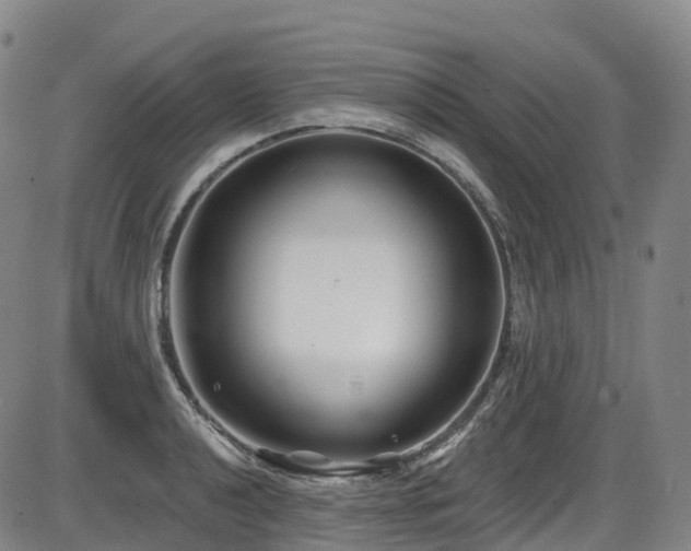 X0000086301040200703301156