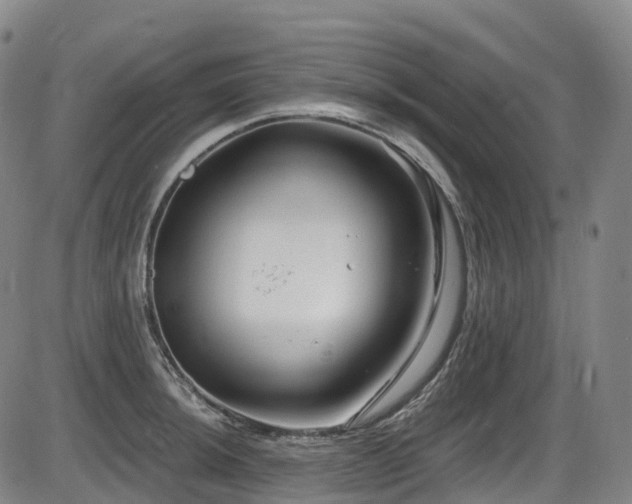 X0000086301044200703301156