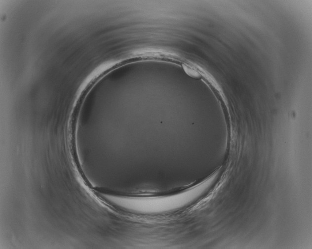X0000086301045200703301156